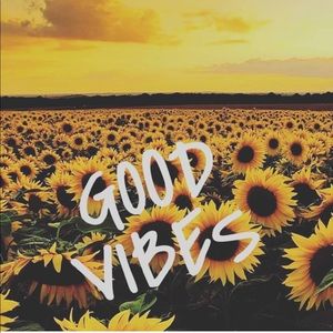 Meet your Posher, Addison